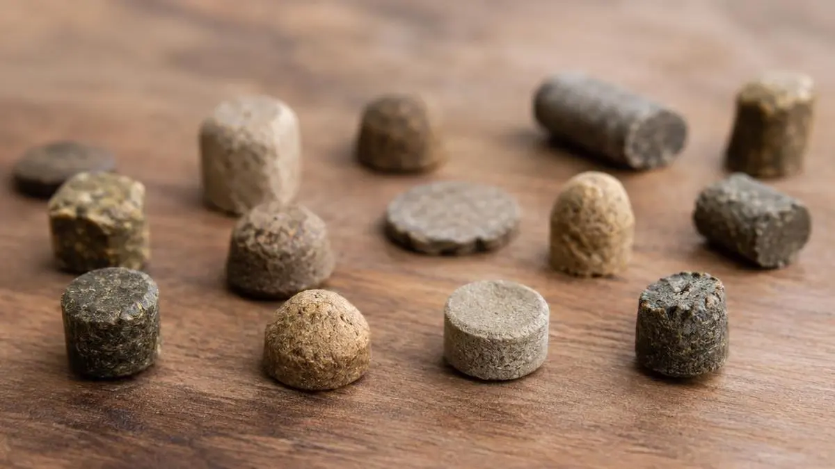 Air Gun Pellet Weights and Shapes Explained — Best Pellet Gun Air Gun Pellet Weights and Shapes Explained